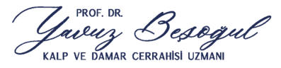 Prof. Dr. Yavuz Beşoğul